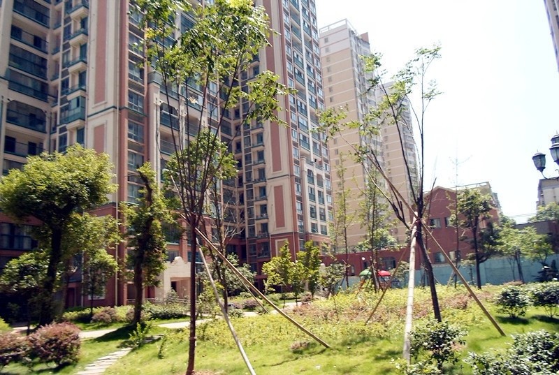 湖南新金鴻置業(yè).蝴蝶谷-湖南電梯工程