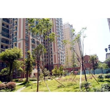 湖南新金鴻置業(yè).蝴蝶谷-湖南電梯工程